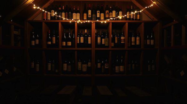 Cave à vin : l'art de conserver vos bouteilles dans les règles de l'art